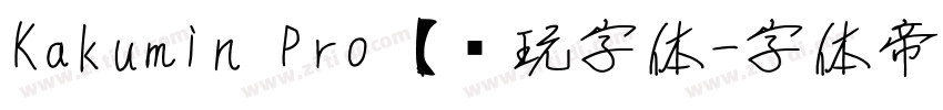 Kakumin Pro【爱玩字体字体转换